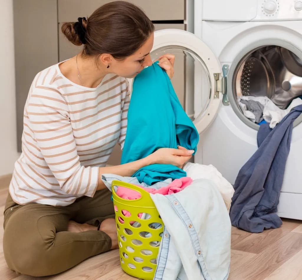 The Orchid Laundry